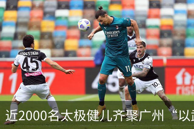 近2000名太极健儿齐聚广州“以武会友”