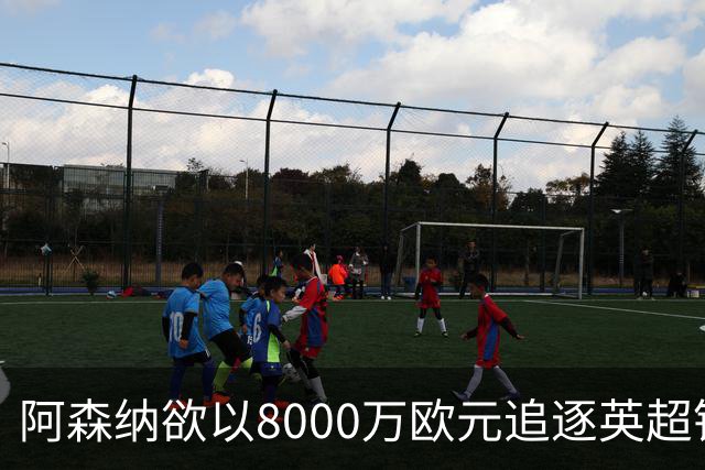 阿森纳欲以8000万欧元追逐英超银靴，西甲明星或将加盟
